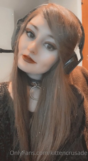 kittencrusade Photo #120