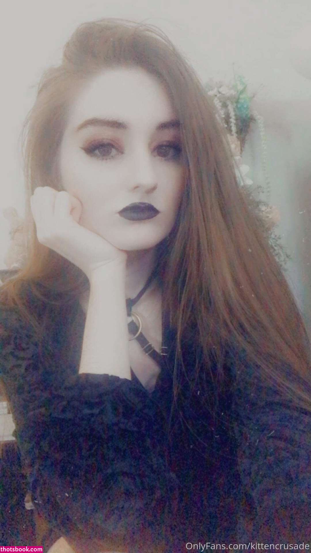 kittencrusade Photo #135