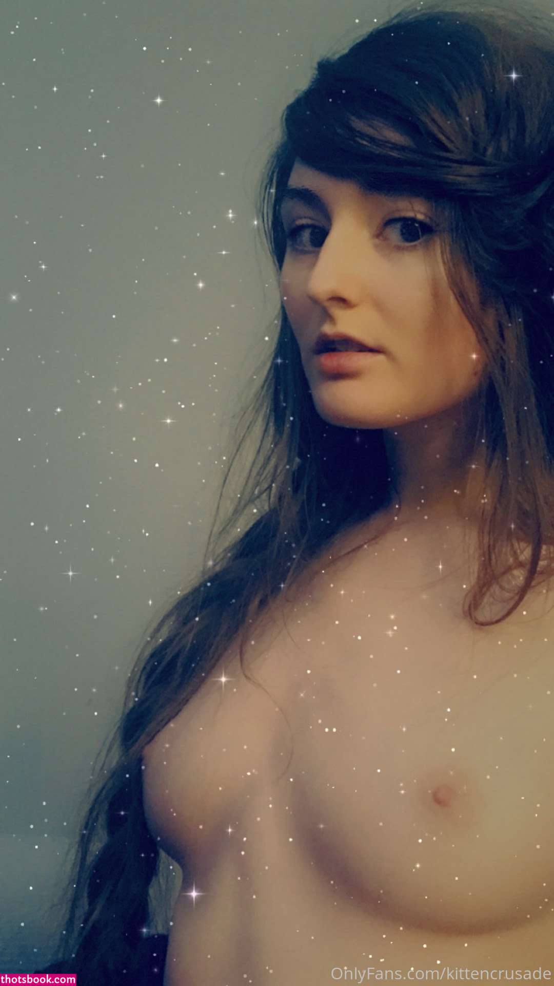 kittencrusade Photo #139