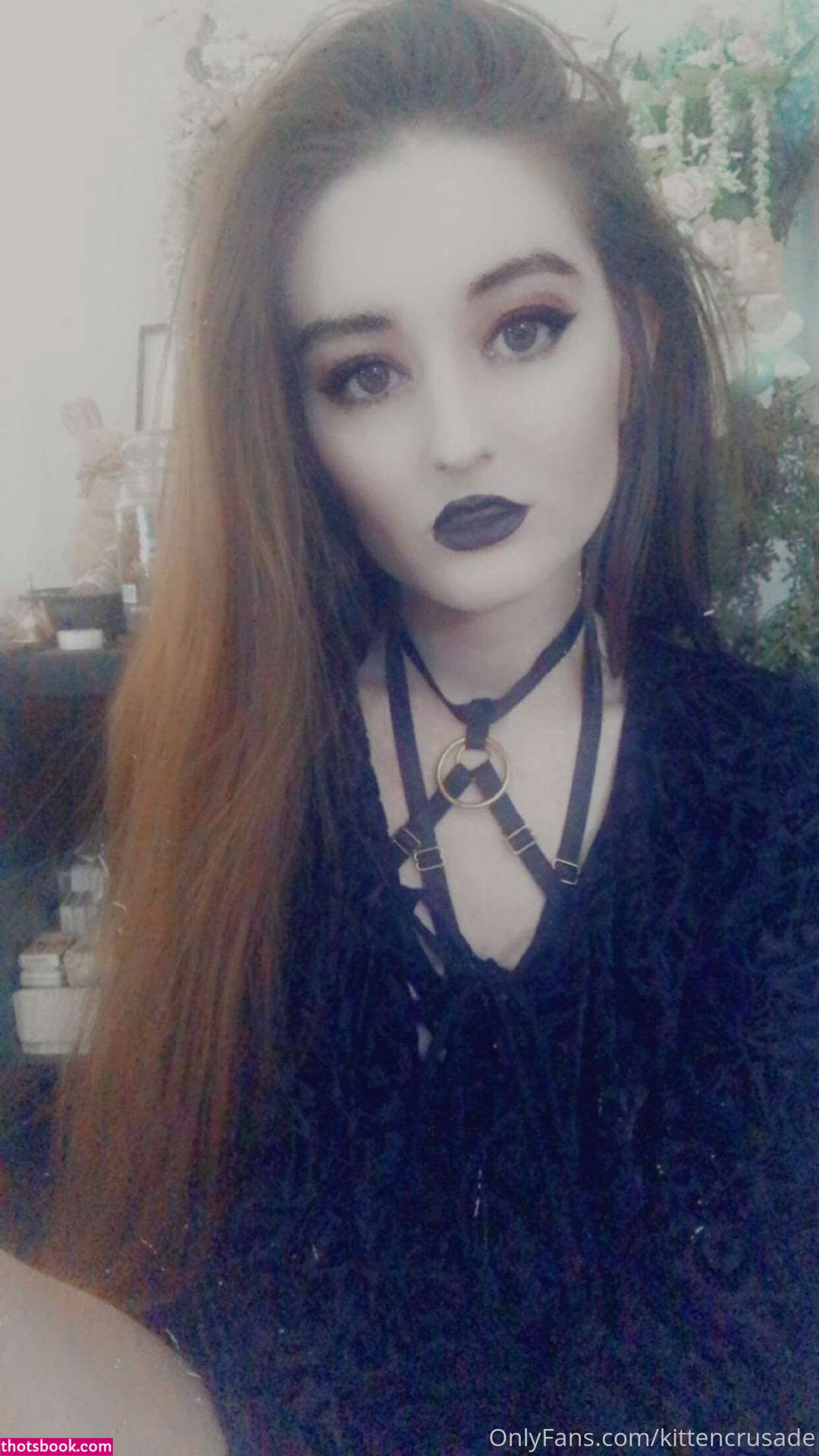 kittencrusade Photo #144