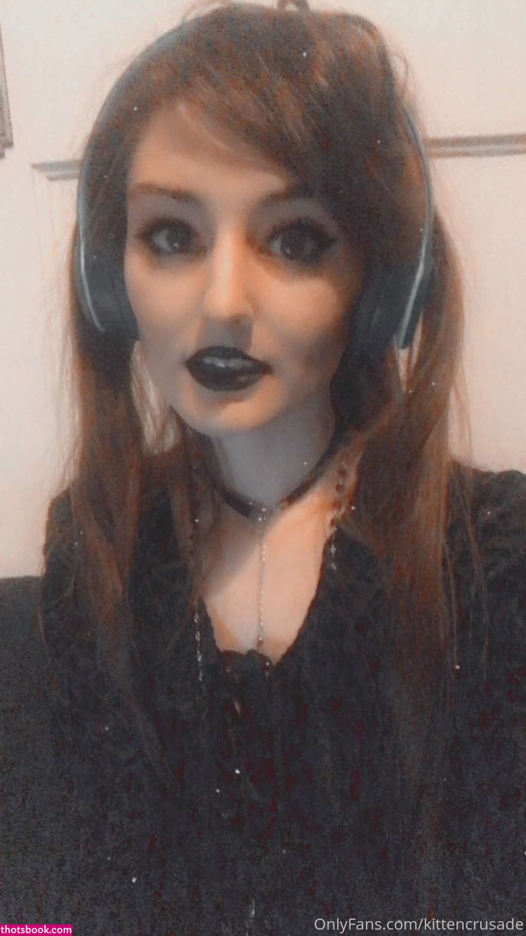 kittencrusade Photo #148