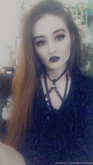 kittencrusade Photo #144