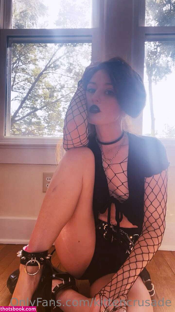 kittencrusade Photo #154