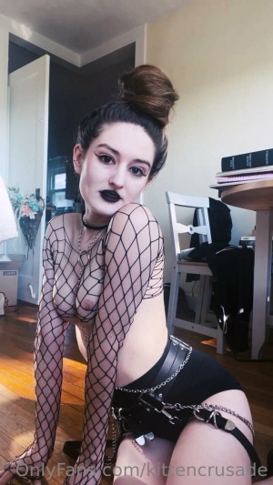 kittencrusade Photo #162