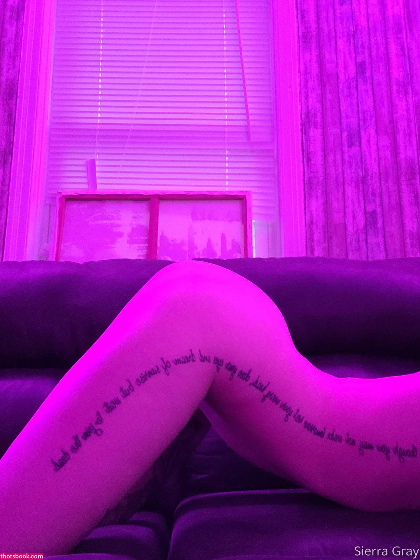 Sierra Gray Photo #100