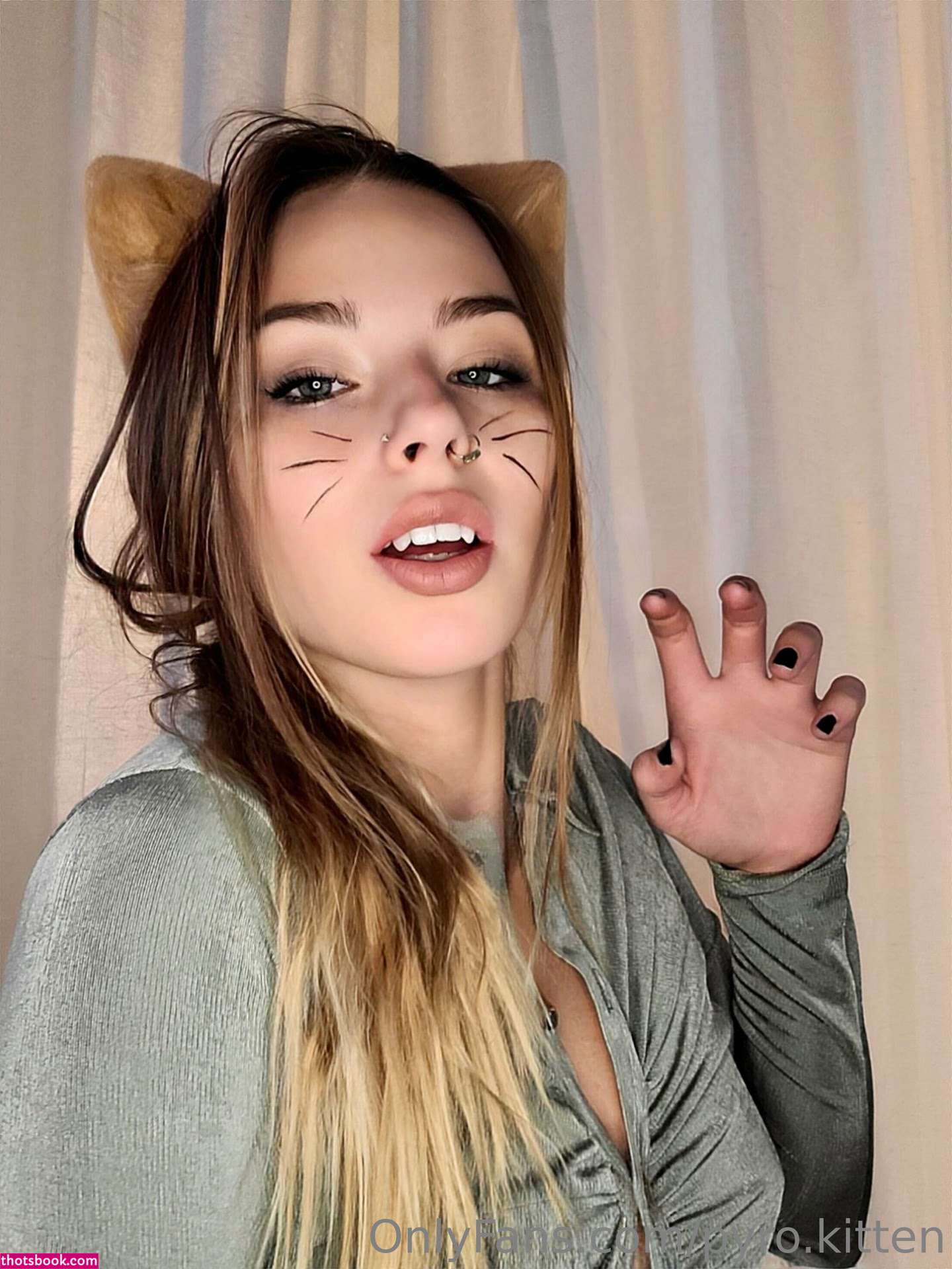 Pyro Kitten Photo #52