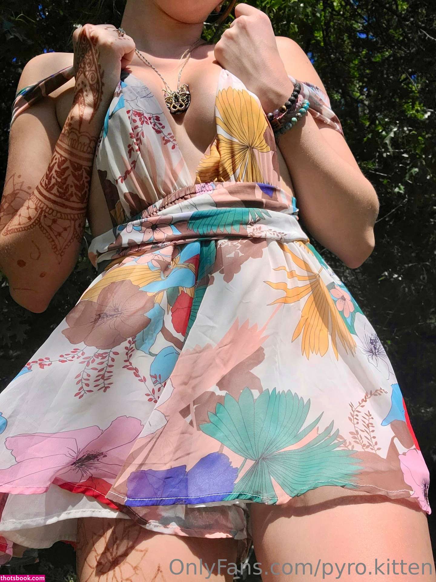 Pyro Kitten Photo #55