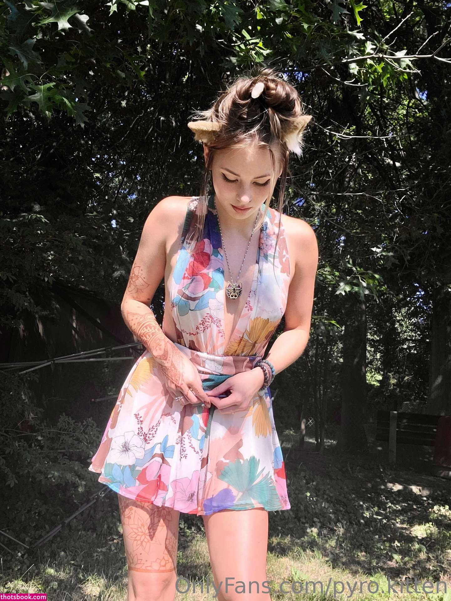 Pyro Kitten Photo #57