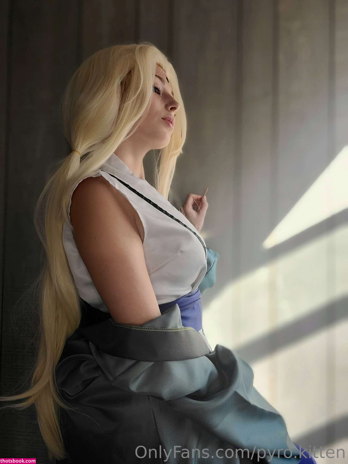 Pyro Kitten Photo #71