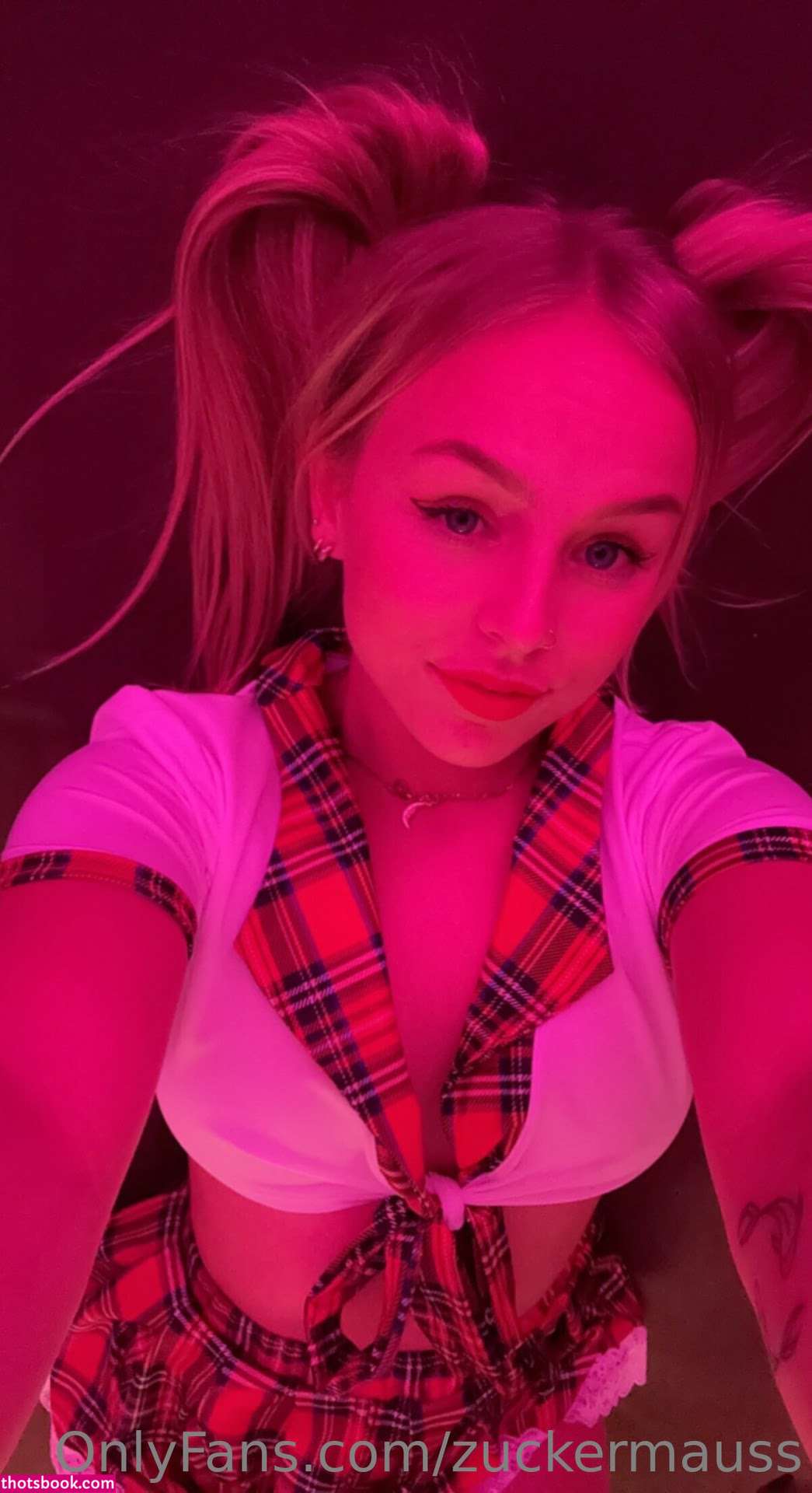 Zuckermauss Photo #12