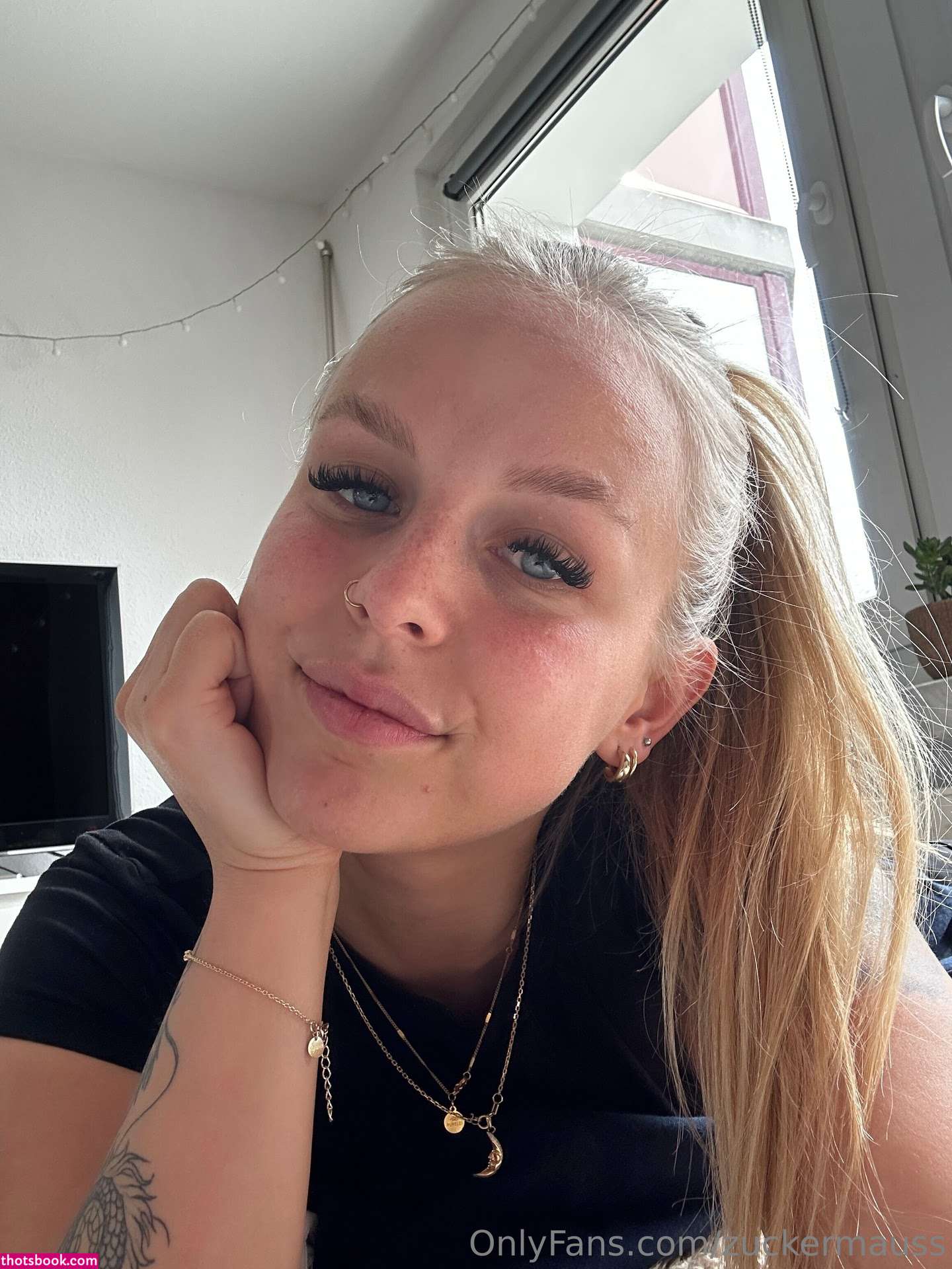 Zuckermauss Photo #14