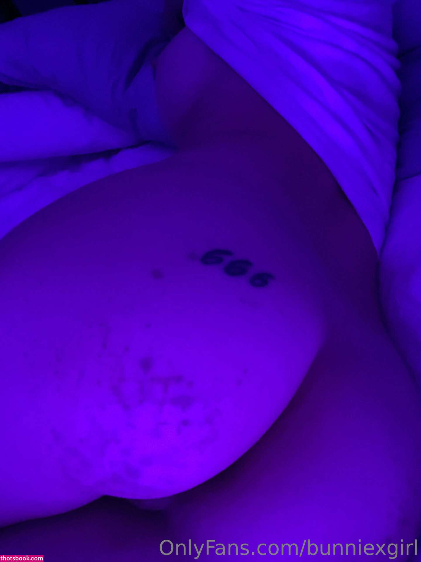 bunniexgirl Photo #67