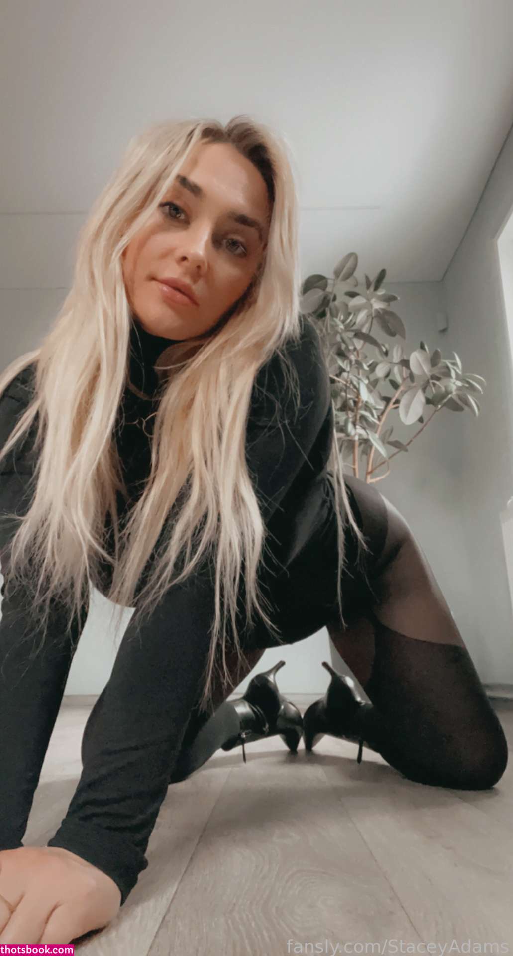 Staceyadams Photo #69