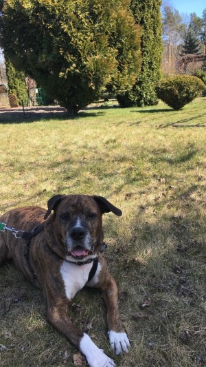 Mirbee Mirella Photo #23