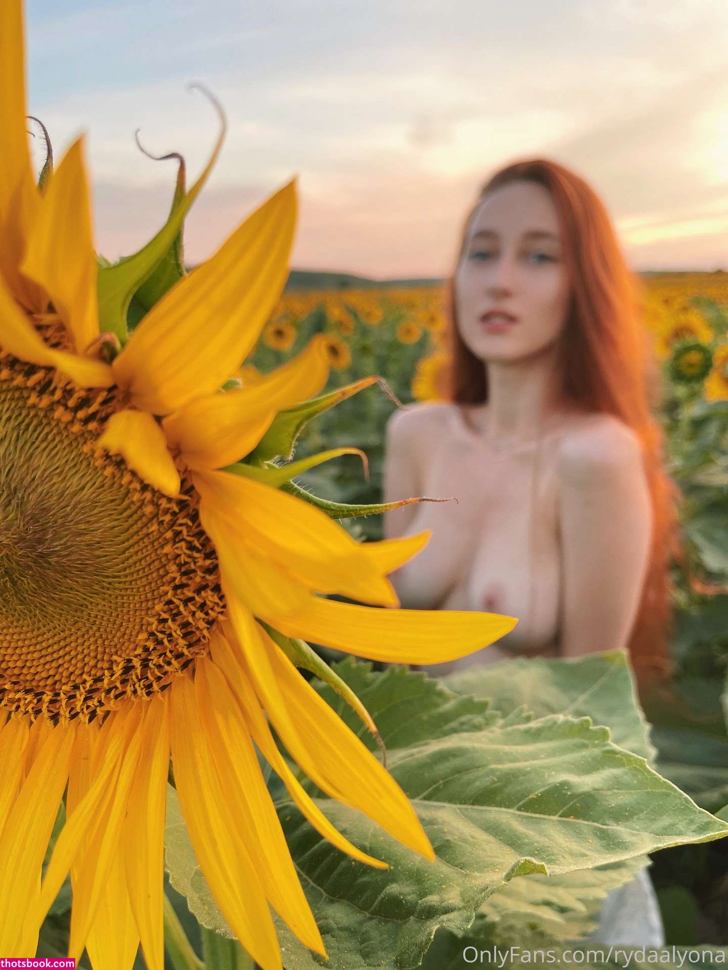 Anoylaadyr Photo #59