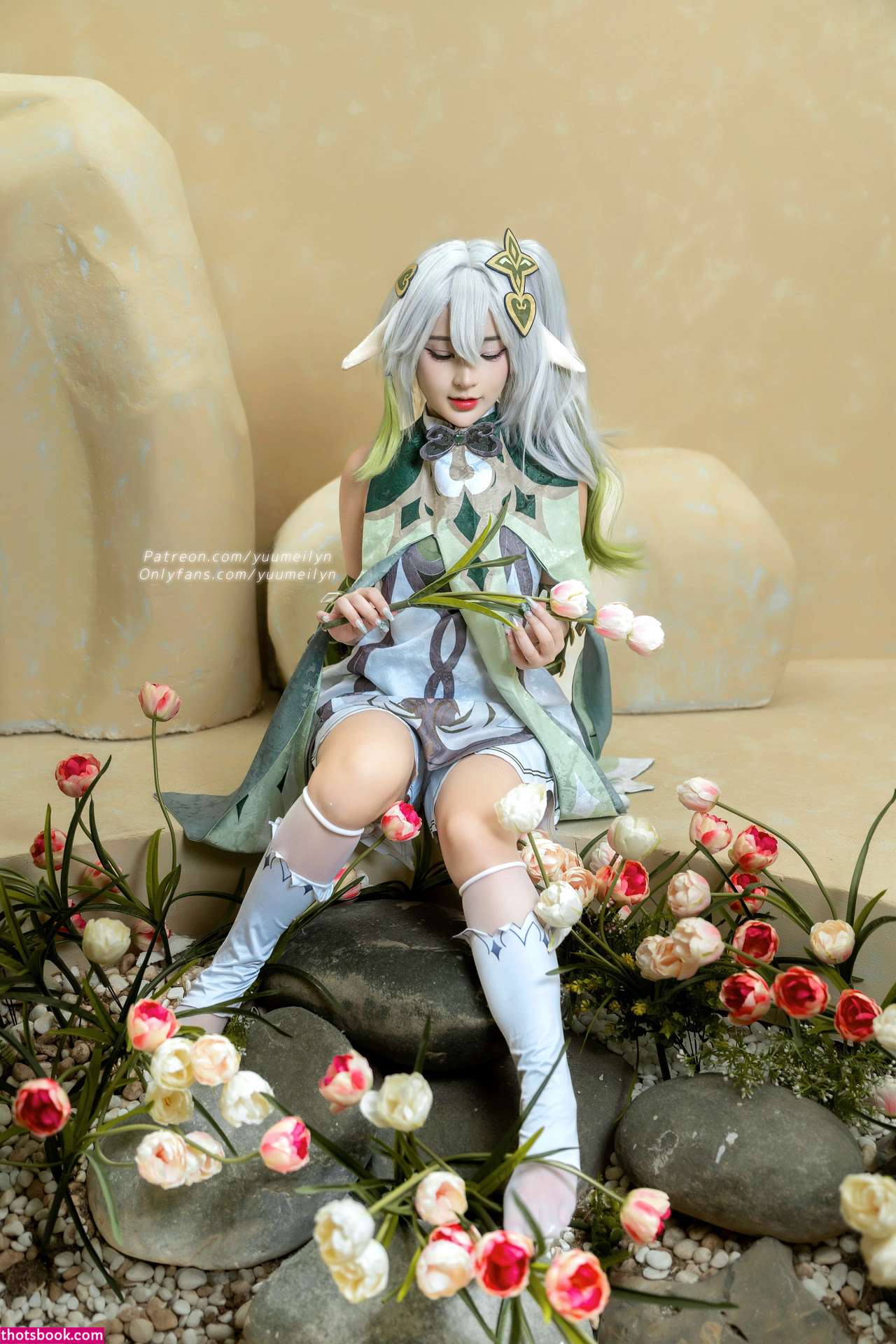 Linhicute Photo #262