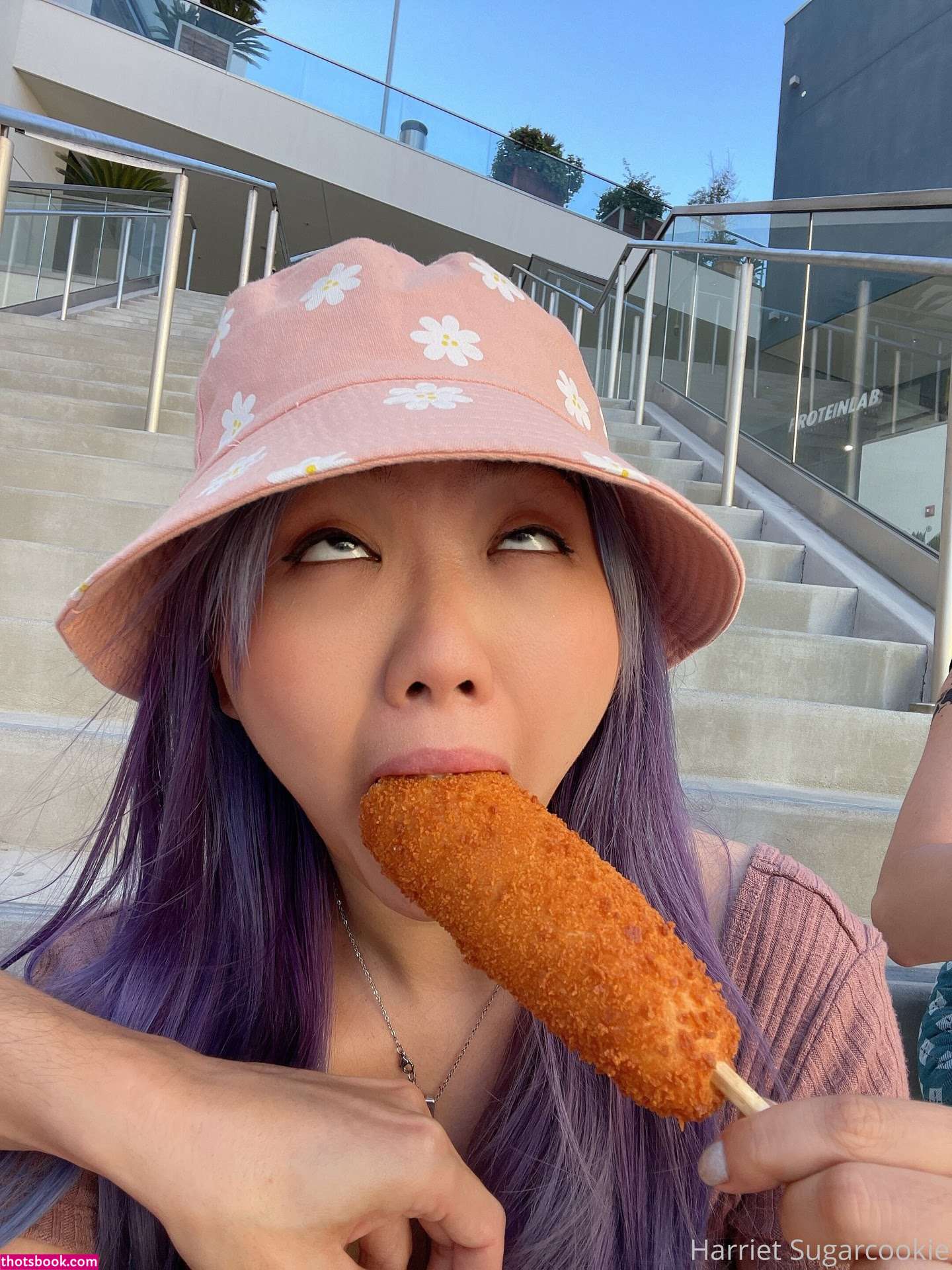 Harriet Sugarcookie Photo #511