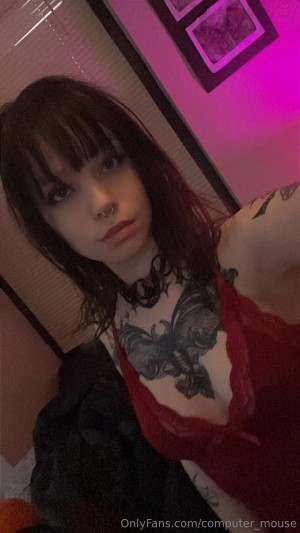 Computer Mouse Photo #24