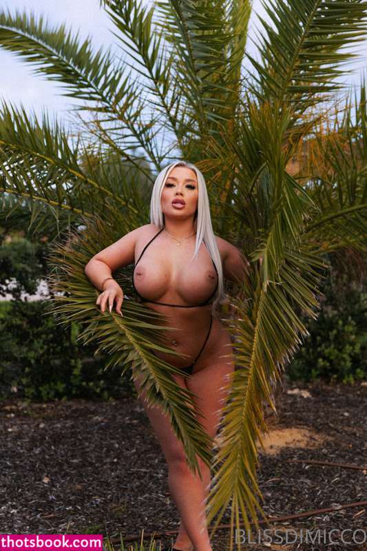 Bliss Dimicco Photo #83