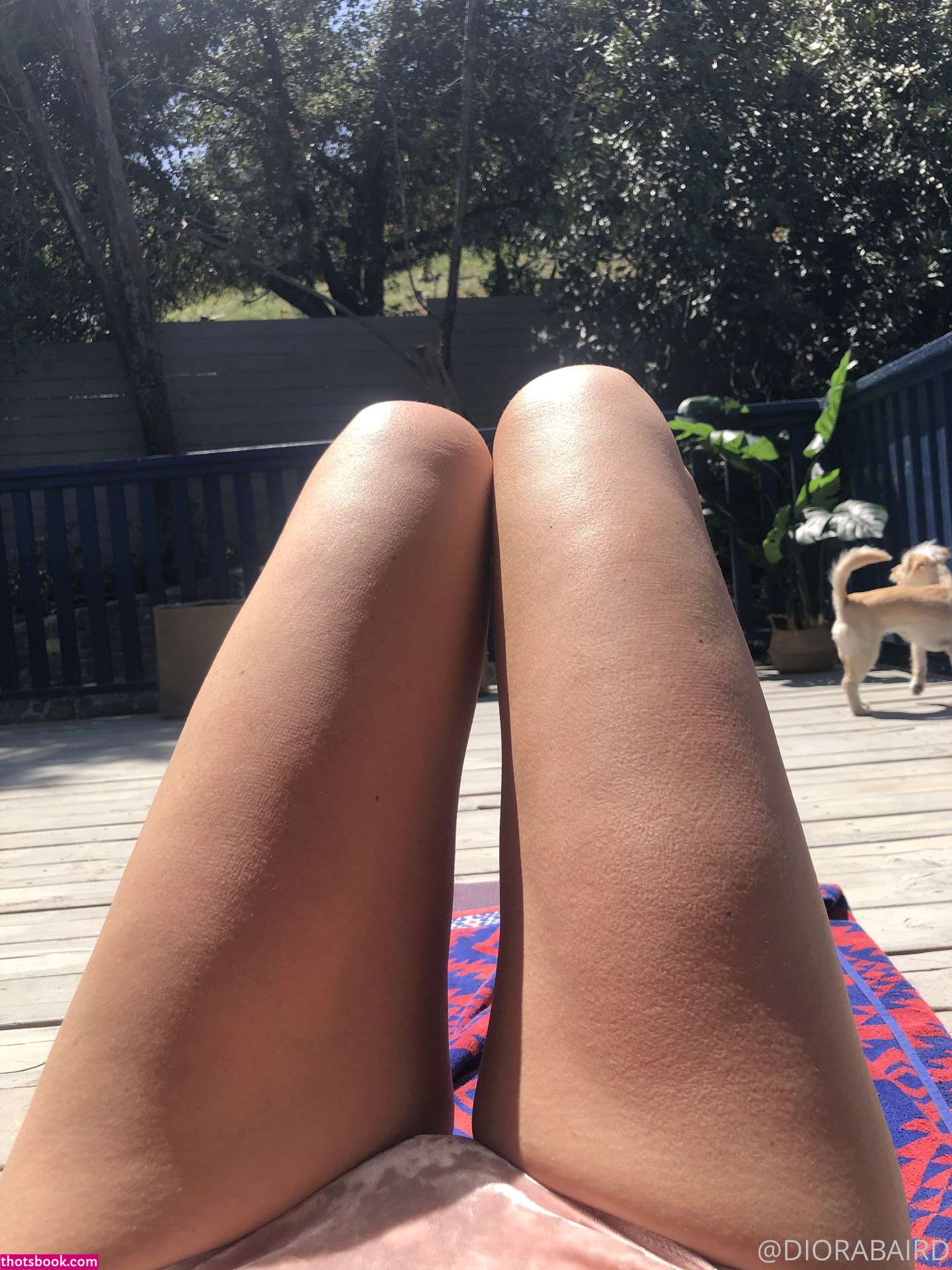 Diora Baird Photo #730