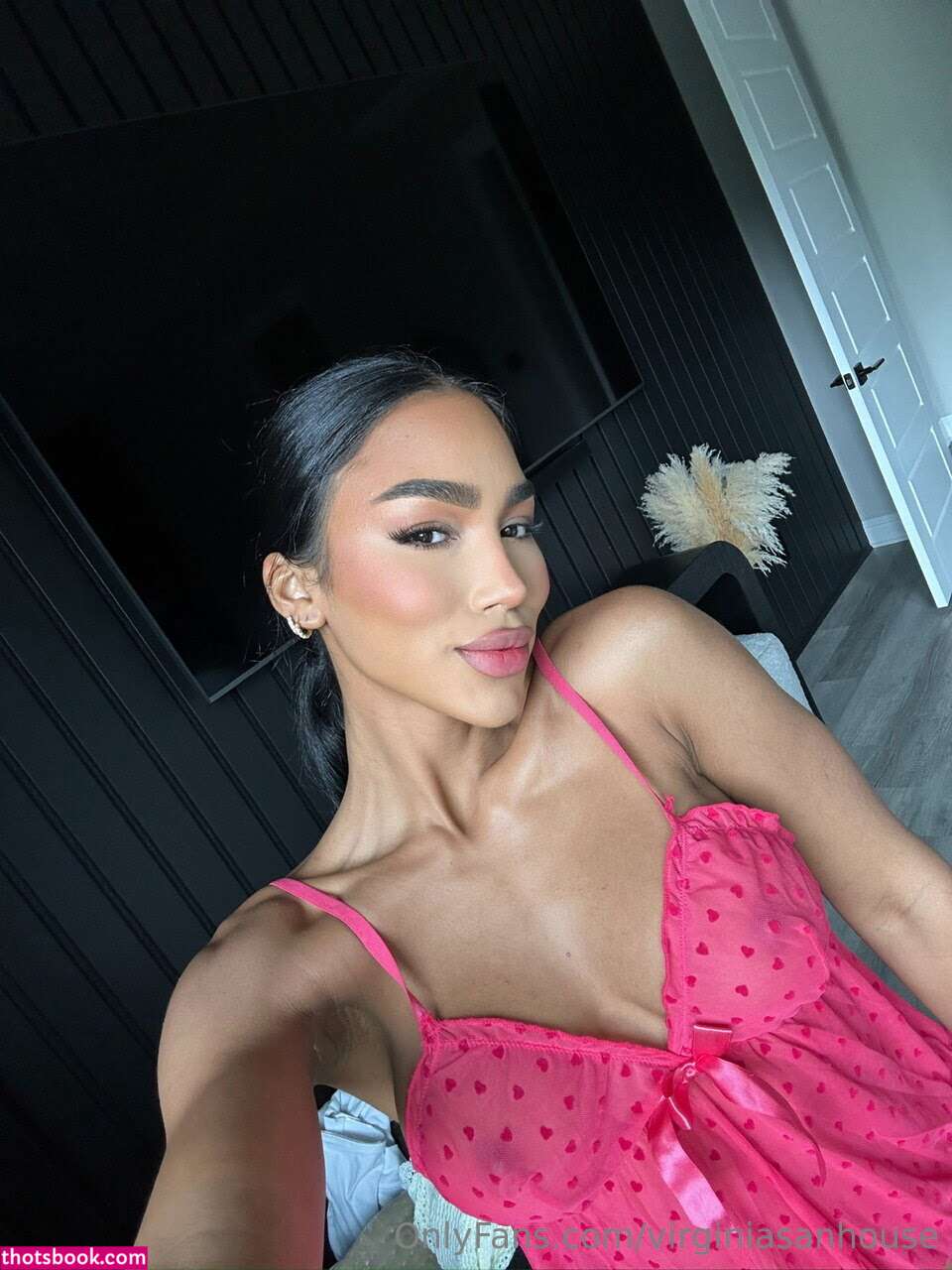 Virginia Sanhouse Photo #143