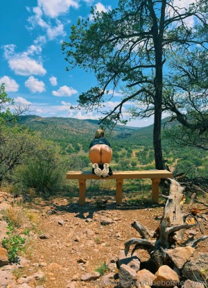 Bluebonnet Lynn Post #2