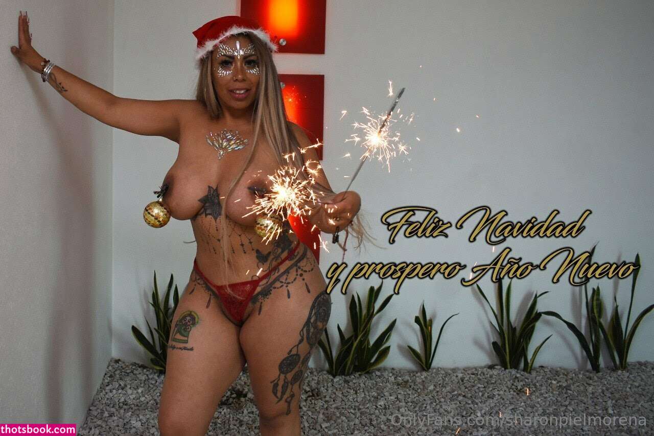 Creator Photo #1870327