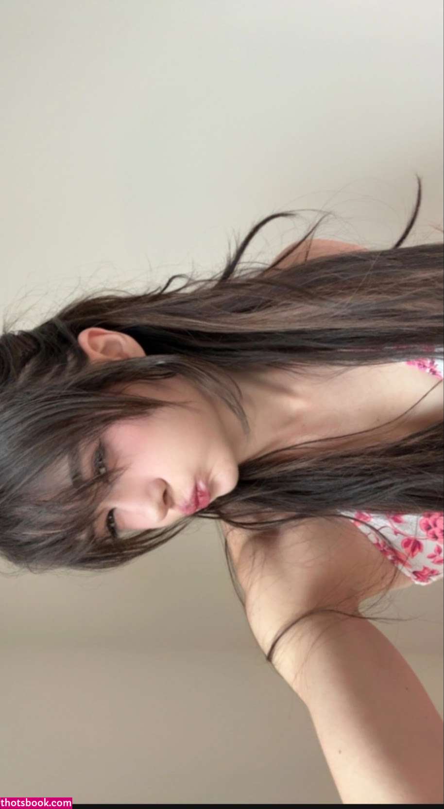 War Hamster Photo #20