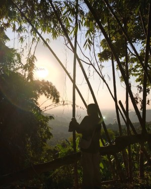 baimiminmint Photo #7