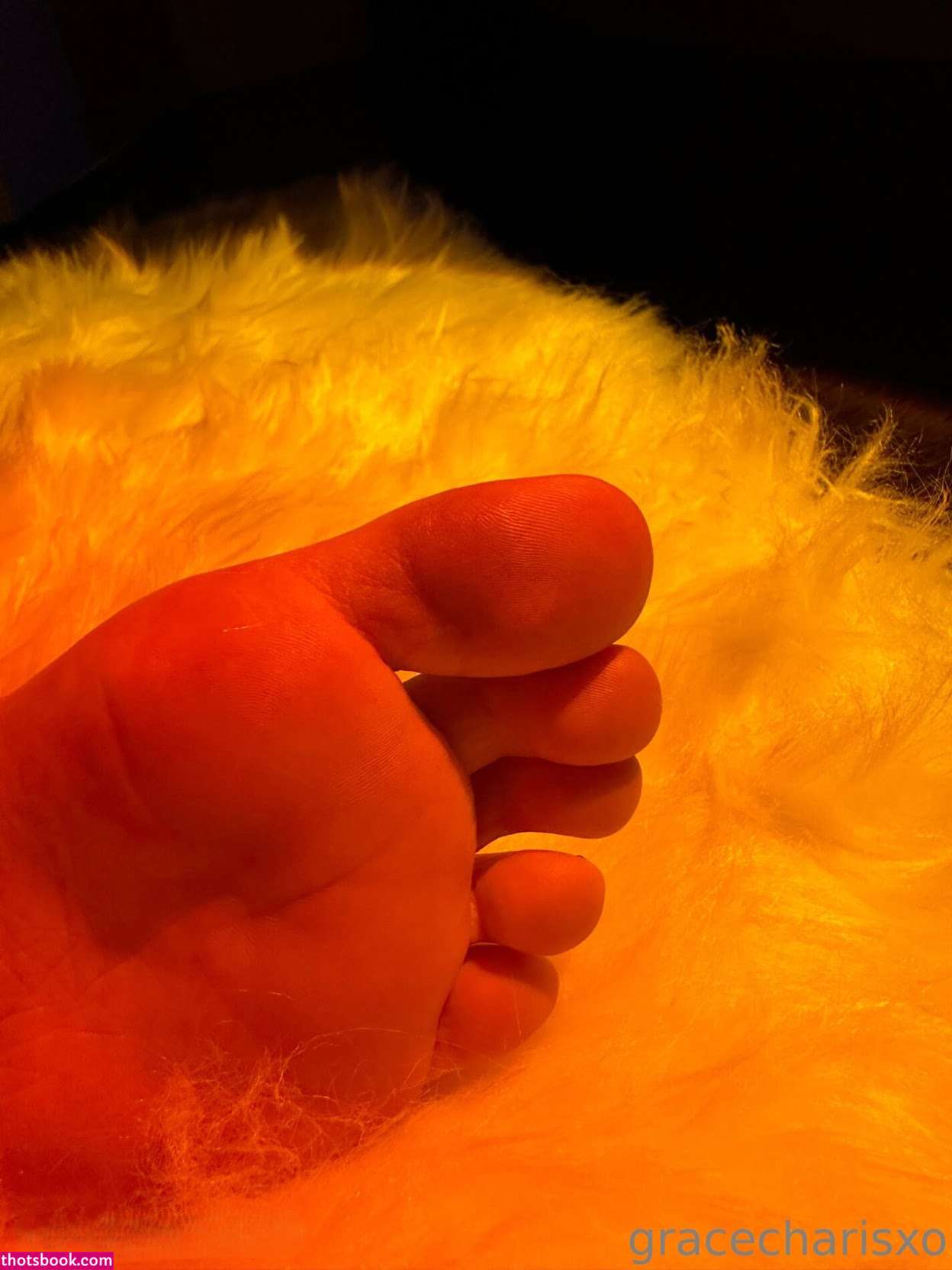 Grace Charis Photo #1686