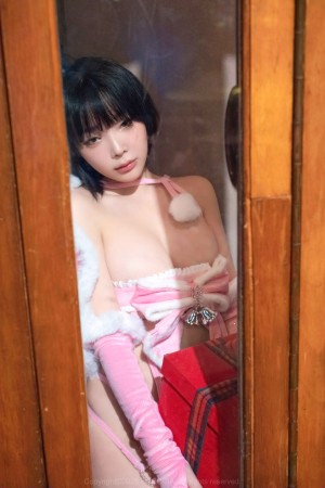 Creator Photo #1873037