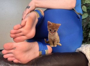 sushiflavoredmilk Photo #223