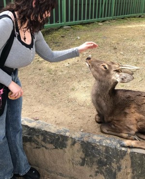 mylittlerobin Photo #39