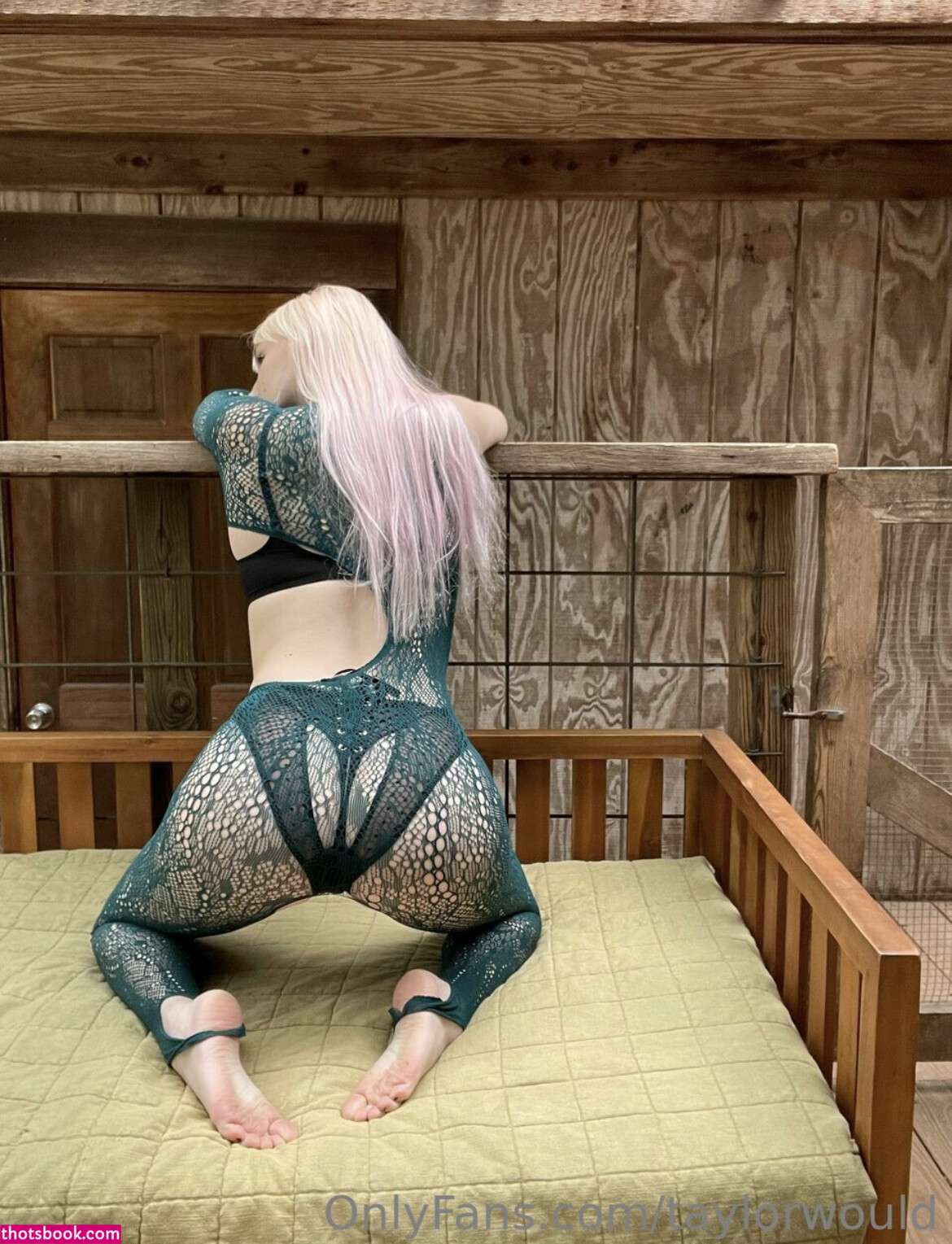 Taylorwould Photo #52