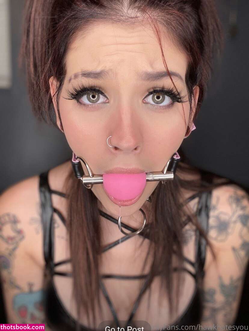 Hawkhatesyou Photo #19