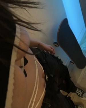 Caelydavis Photo #12