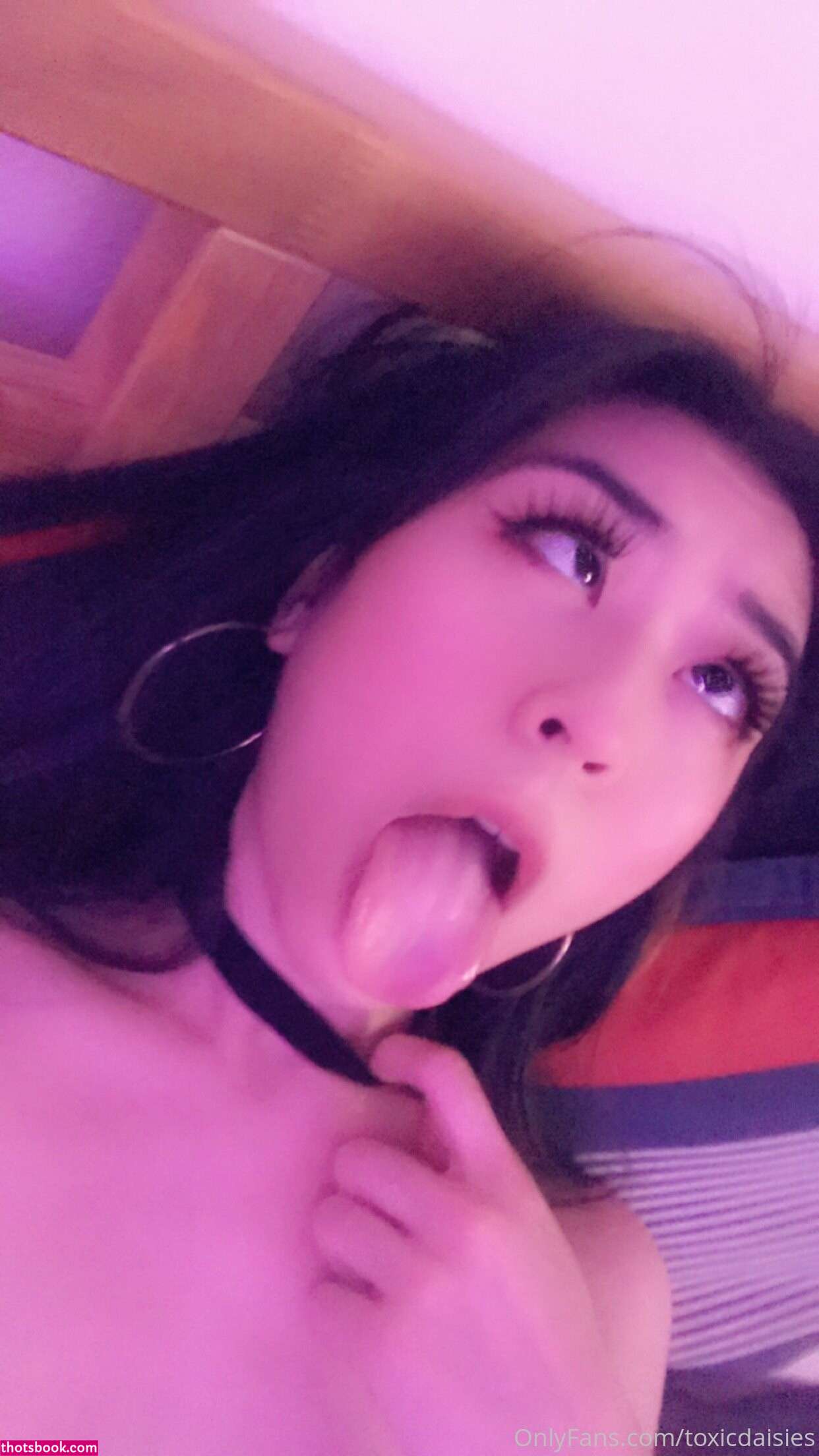 Toxicdaisies Photo #42