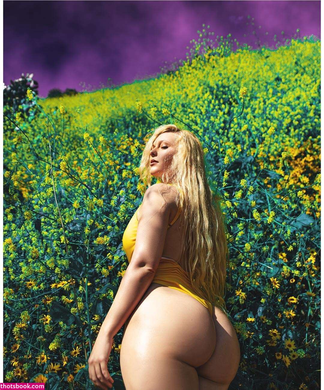 Amethystfranklin Photo #82