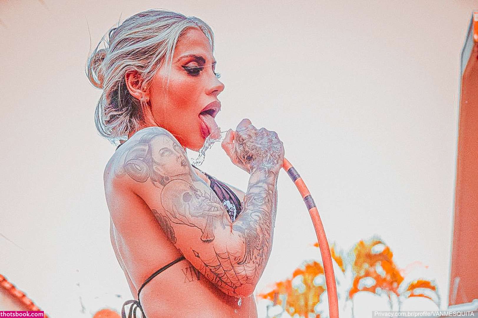 Vanessa Mesquita Photo #42