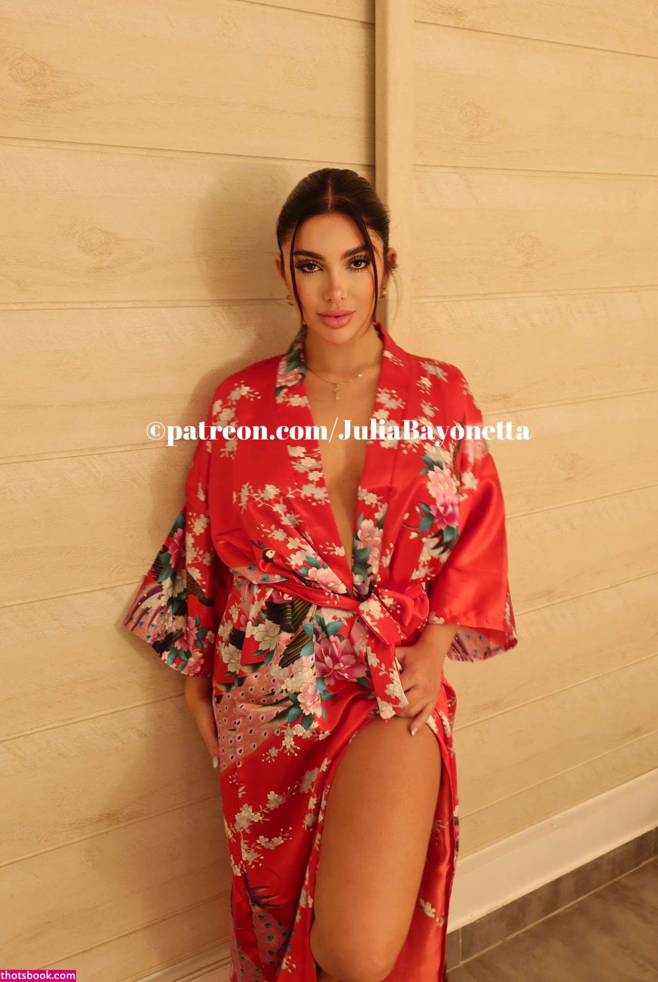 Julia Bayonetta Photo #92