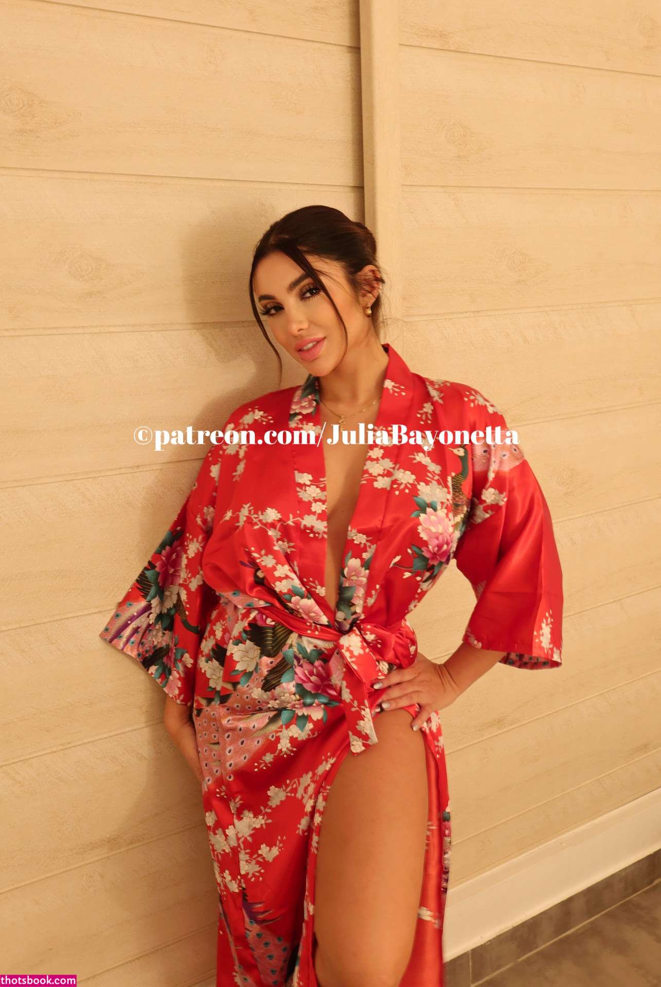 Julia Bayonetta Photo #93