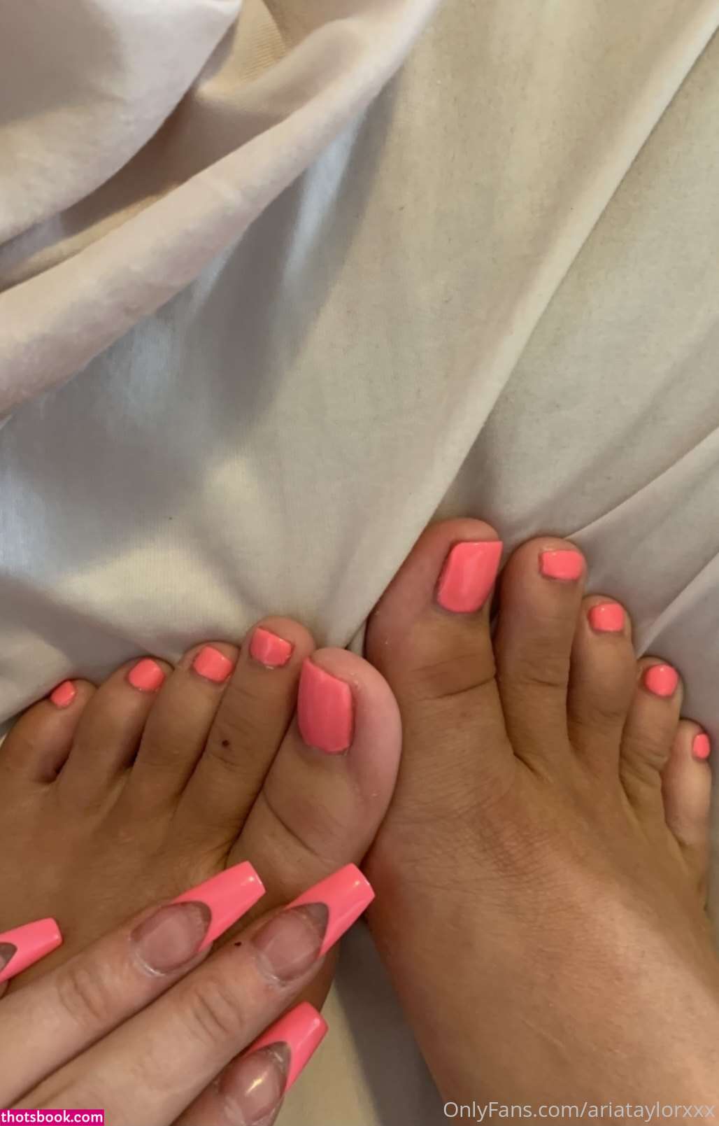 Aria Taylor Photo #103