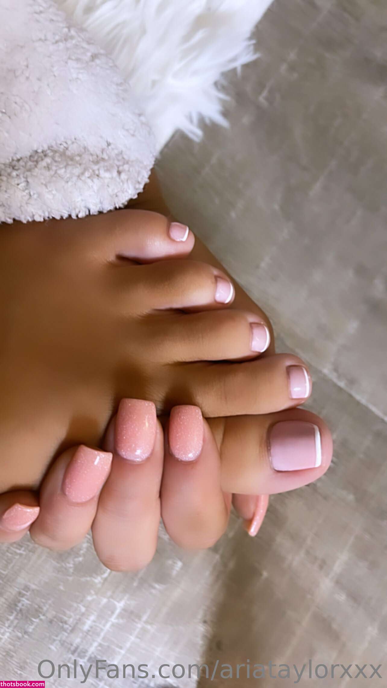 Aria Taylor Photo #174