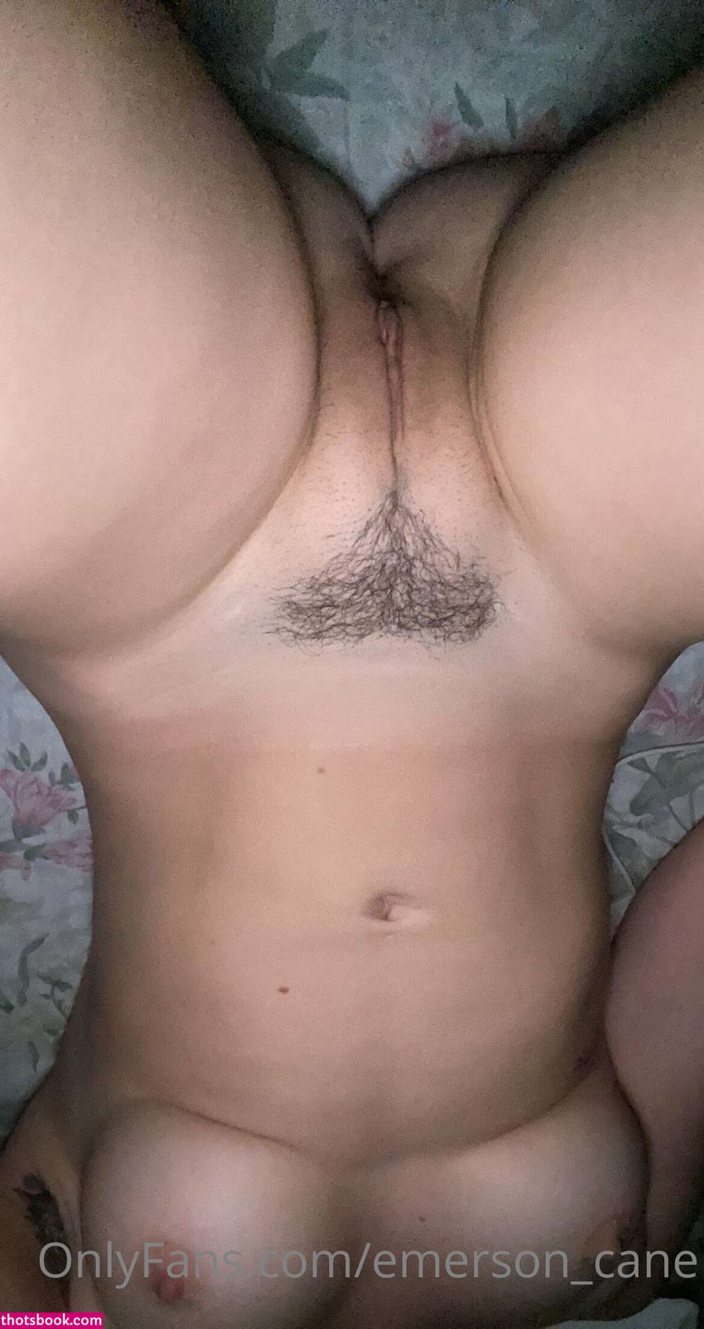 emersoncane Photo #272