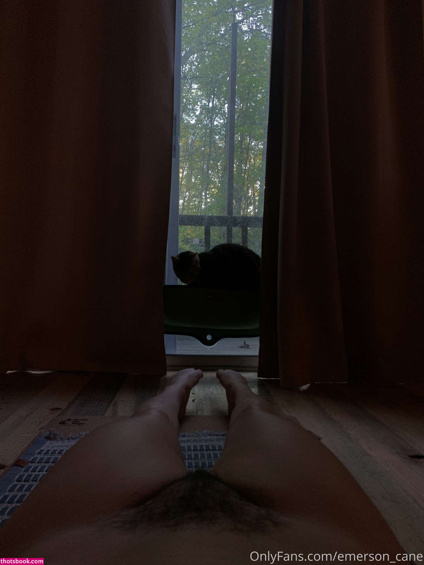 emersoncane Photo #351