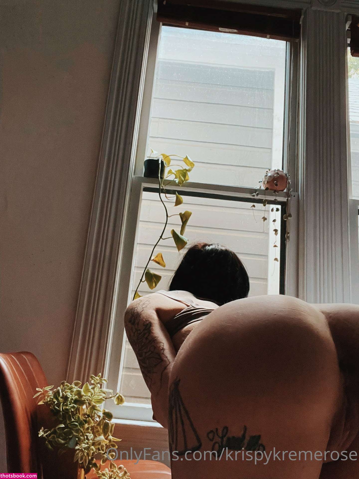 Krispykremerose Photo #183