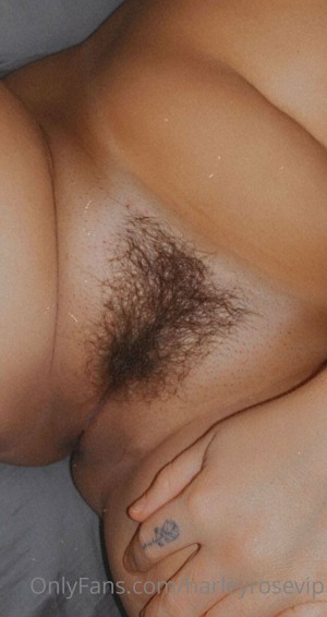 Hello Harley Photo #85