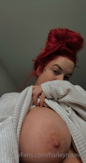 Hello Harley Photo #91