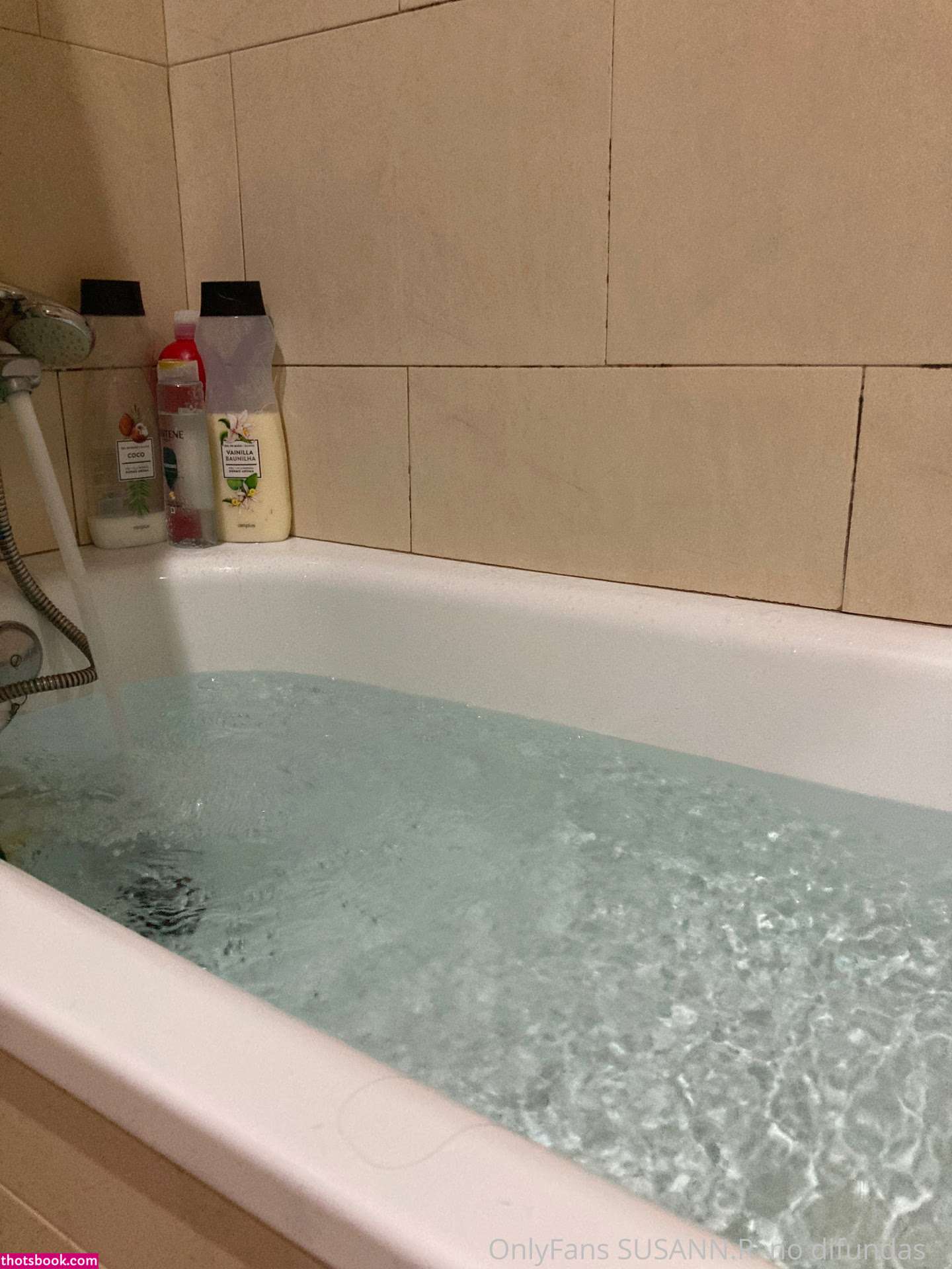 Susana Reyes Photo #101