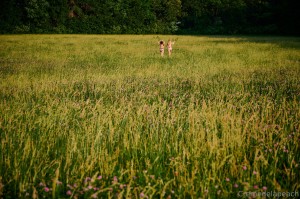 cremedelapeach Photo #103